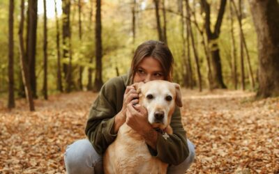 Pet Parent To-Do List For Healthy Dogs: Autumn Edition