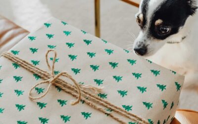 Hanukkah: 8 Great Gifts and Treats For Dogs