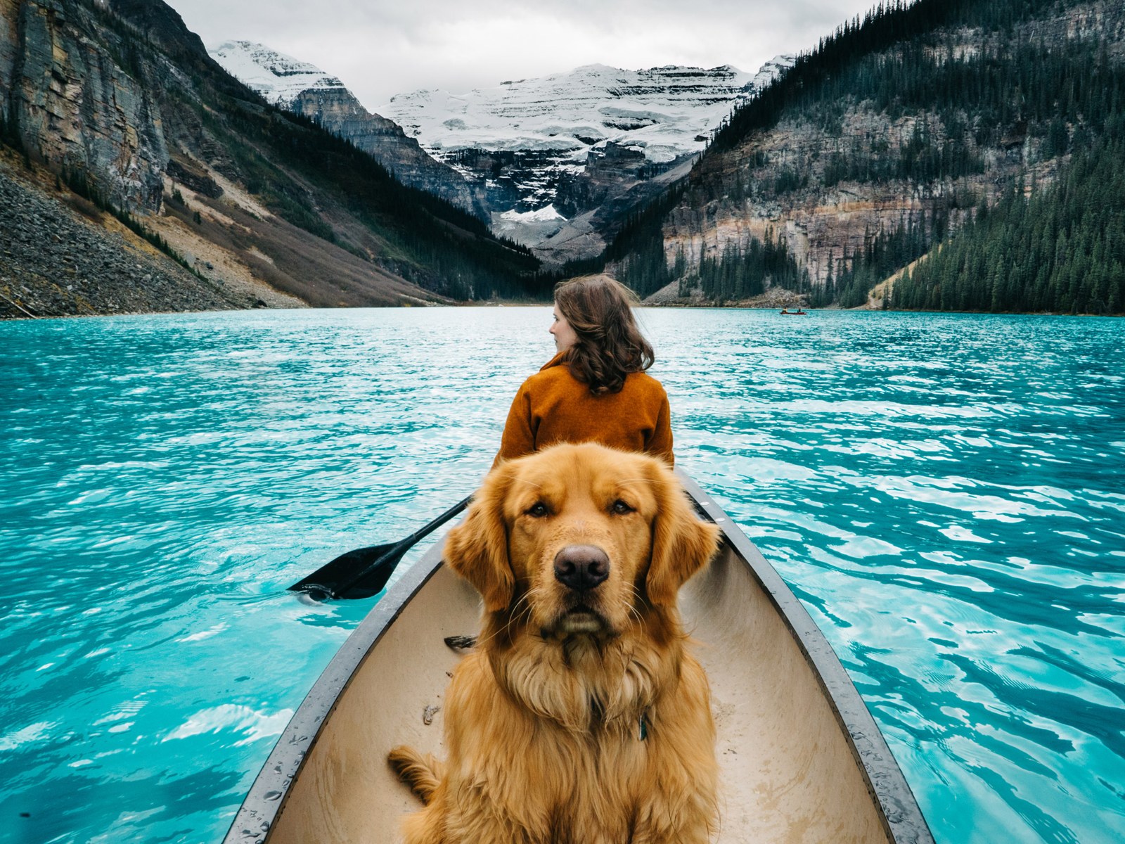 Dog and paddler in a canoe