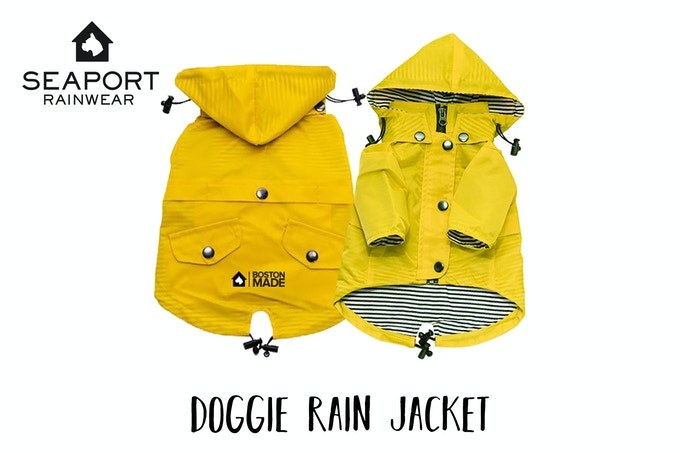 http://Two%20dogs%20wearing%20Boston%20Made%20Pupwear%20yellow%20rain%20jackets