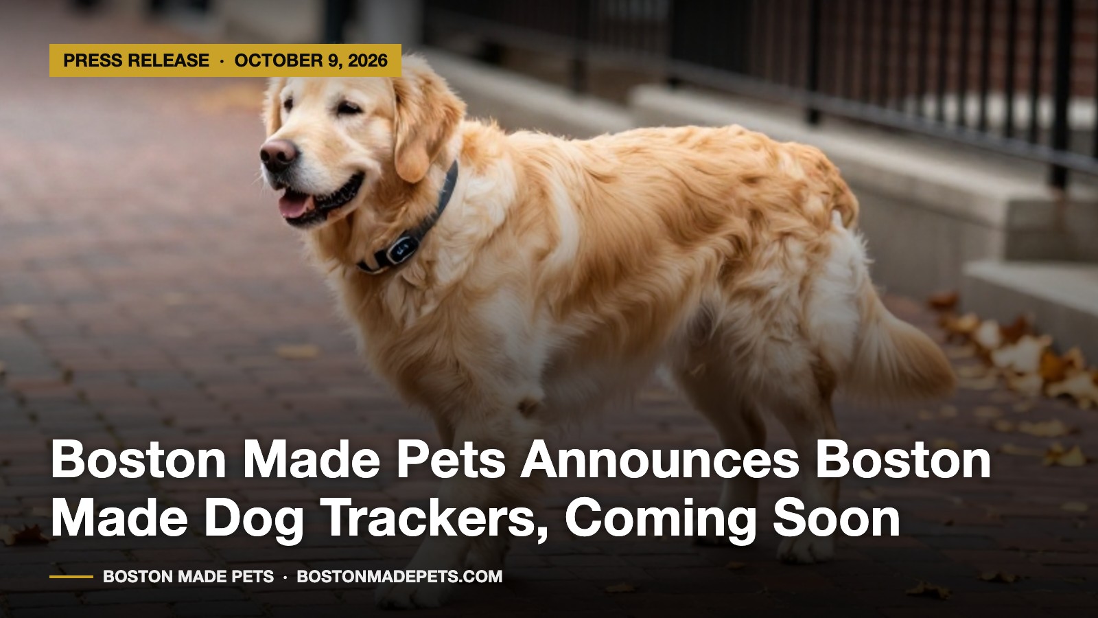 Boston Made Pets Announces Boston Made Dog Trackers, Coming Soon