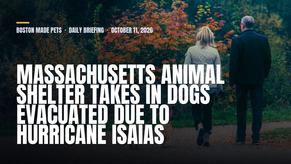 Boston Made Pets daily briefing: Massachusetts animal shelter takes in dogs evacuated due to Hurricane Isaias