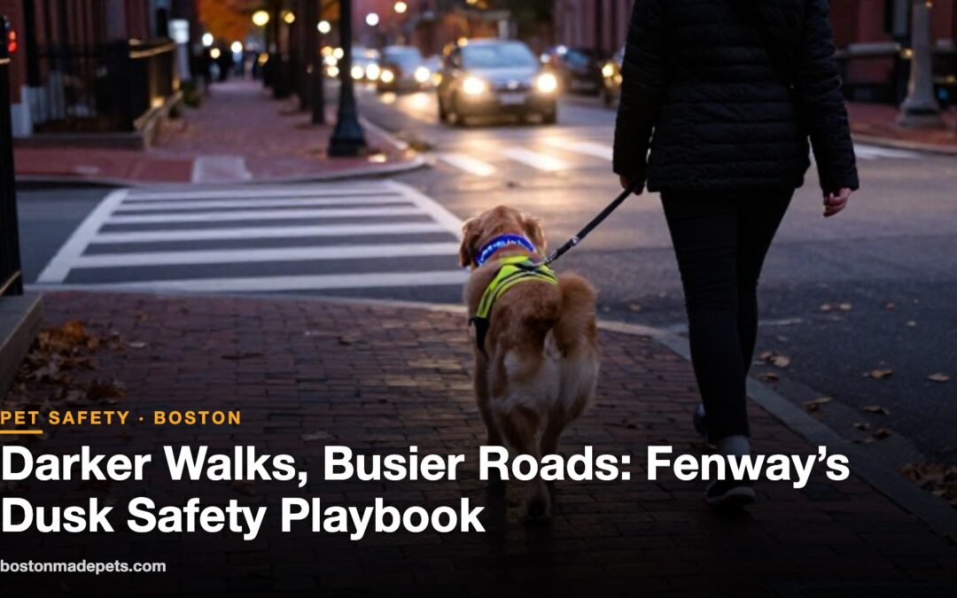 Darker Walks, Busier Roads: Fenway’s Dusk Safety Playbook