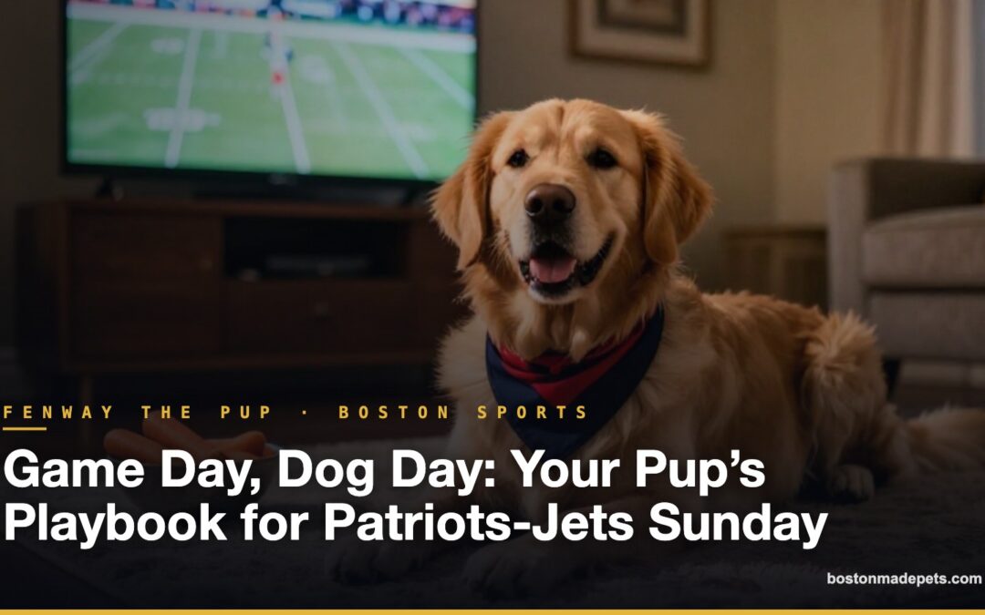 Game Day, Dog Day: Your Pup’s Playbook for Patriots-Jets Sunday