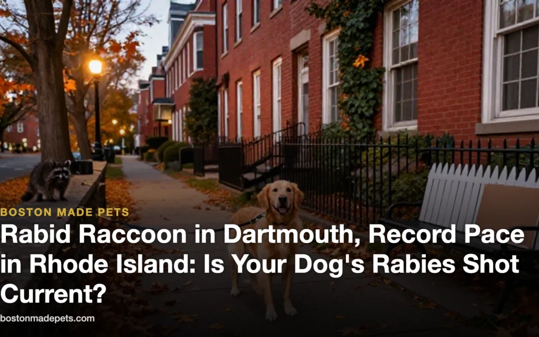 Rabid Raccoon in Dartmouth, Record Pace in Rhode Island: Is Your Dog’s Rabies Shot Current?
